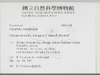 登錄號:F0034184藏品圖，第2張