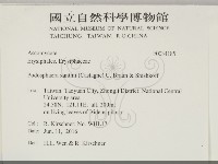 登錄號:F0034185藏品圖，第2張