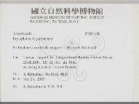 登錄號:F0034188藏品圖，第2張