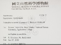 登錄號:F0034190藏品圖，第2張