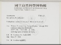 登錄號:F0034193藏品圖，第2張