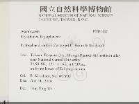 登錄號:F0034197藏品圖，第2張