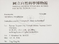 登錄號:F0034200藏品圖，第2張