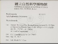 絲皮菌屬藏品圖，第2張