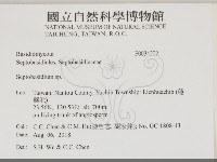 登錄號:F0034202藏品圖，第2張