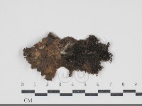 登錄號:F0034202藏品圖，第1張