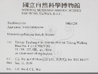 登錄號:F0034204藏品圖，第2張