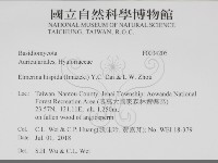 登錄號:F0034205藏品圖，第2張
