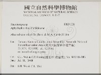 登錄號:F0034208藏品圖，第2張