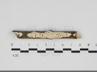 登錄號:F0034209藏品圖，第1張