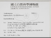 登錄號:F0034211藏品圖，第2張
