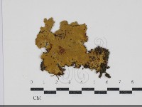 登錄號:F0034211藏品圖，第1張