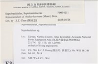 登錄號:F0034211藏品圖，第3張