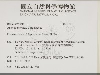 登錄號:F0034214藏品圖，第2張