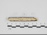 登錄號:F0034214藏品圖，第1張