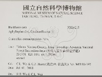 登錄號:F0034215藏品圖，第2張