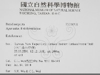 粉褶菌屬藏品圖，第2張