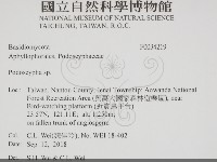 登錄號:F0034219藏品圖，第2張