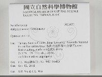 登錄號:F0034221藏品圖，第2張
