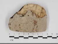 登錄號:F0034221藏品圖，第1張