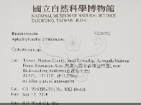 登錄號:F0034222藏品圖，第2張