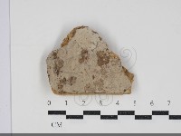 登錄號:F0034222藏品圖，第1張