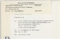 登錄號:F0034222藏品圖，第3張