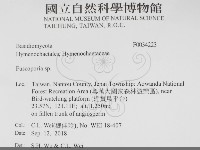 登錄號:F0034223藏品圖，第2張