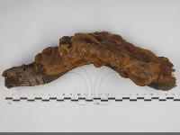 登錄號:F0034223藏品圖，第1張