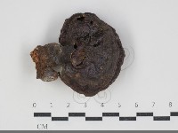 登錄號:F0034224藏品圖，第1張