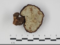 登錄號:F0034224藏品圖，第3張