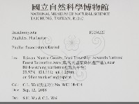 登錄號:F0034227藏品圖，第2張