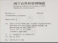 顯絲菌屬藏品圖，第2張