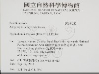 登錄號:F0034230藏品圖，第2張