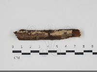 登錄號:F0034232藏品圖，第1張