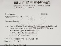 登錄號:F0034233藏品圖，第2張