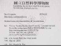 登錄號:F0034235藏品圖，第2張