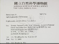 登錄號:F0034236藏品圖，第2張