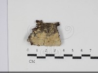 登錄號:F0034236藏品圖，第1張