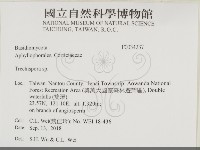 登錄號:F0034237藏品圖，第2張