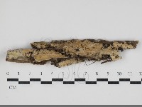 登錄號:F0034237藏品圖，第1張