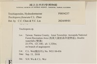 登錄號:F0034237藏品圖，第3張