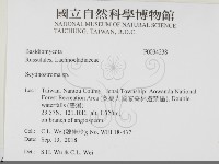 登錄號:F0034238藏品圖，第2張