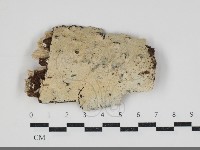 登錄號:F0034239藏品圖，第1張