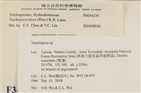 登錄號:F0034239藏品圖，第3張