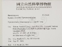 登錄號:F0034241藏品圖，第2張