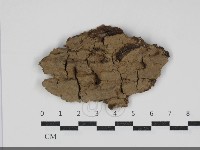 登錄號:F0034241藏品圖，第1張