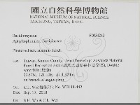 登錄號:F0034242藏品圖，第2張