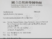 登錄號:F0034243藏品圖，第2張