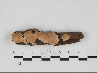 登錄號:F0034244藏品圖，第1張